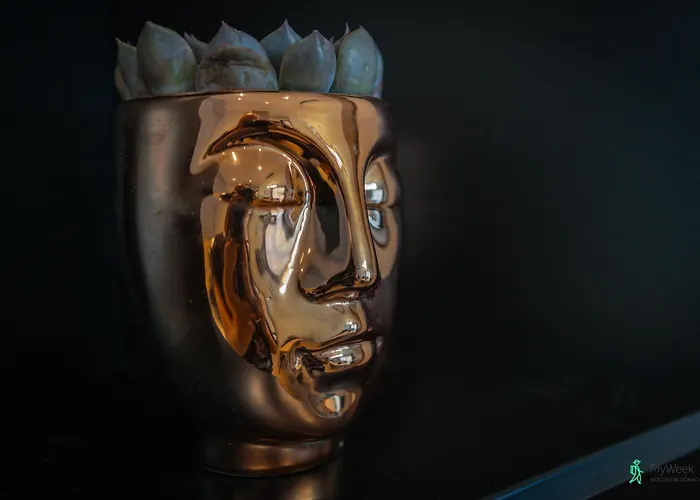 Komfortowy Relaks 2, Ogrody Pieniawskie, Myweek Bad Altheide