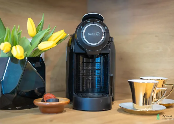 Apartment Komfortowy Relaks 2, Ogrody Pieniawskie, Myweek